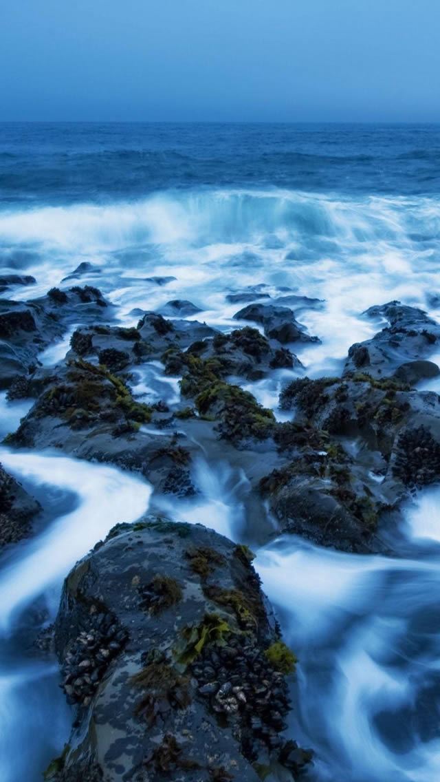 640x1136 Sea Rocks Covered In Mist - mist iPhone Wallpaper