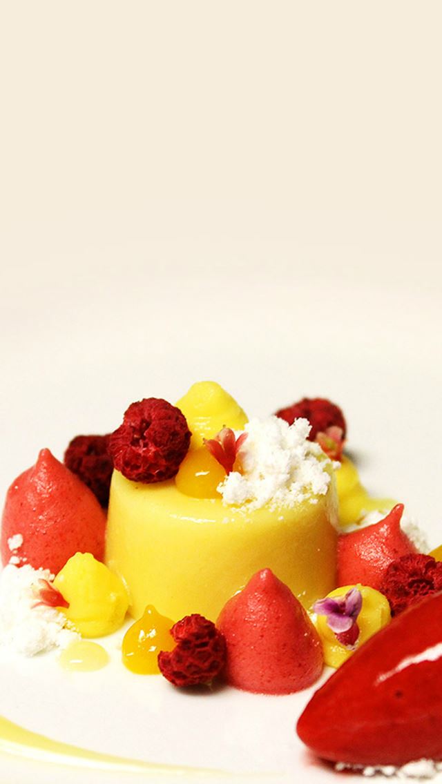 640x1136 Fruit Pudding Dessert - milky iPhone Wallpaper