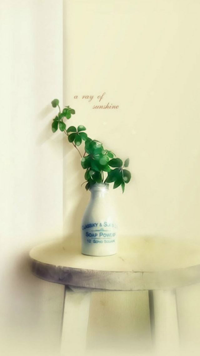 640x1136 Pure Clear Plant Vase Table Room Cornor - table iPhone Wallpaper