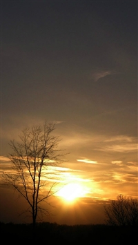 Wild Vast Twilight Light wallpaper