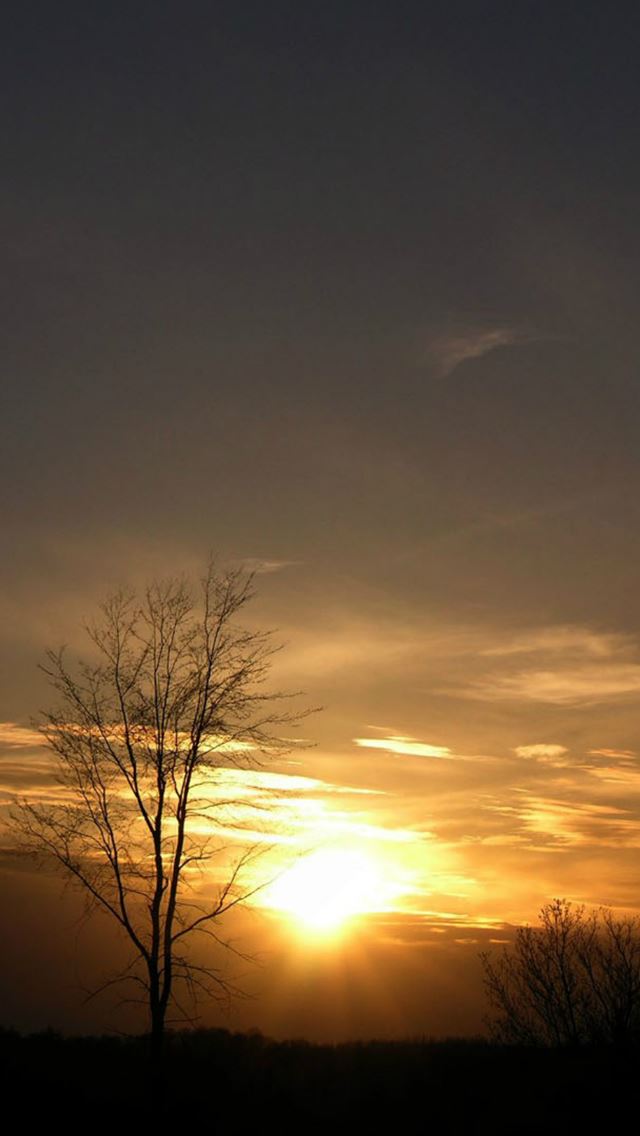 640x1136 Wild Vast Twilight Light - yellow iPhone Wallpaper