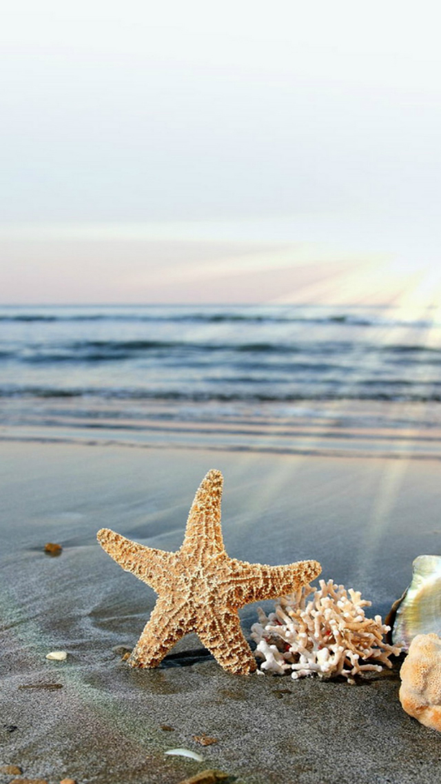 Starfish Sun Waves Beach  iPhone wallpaper 