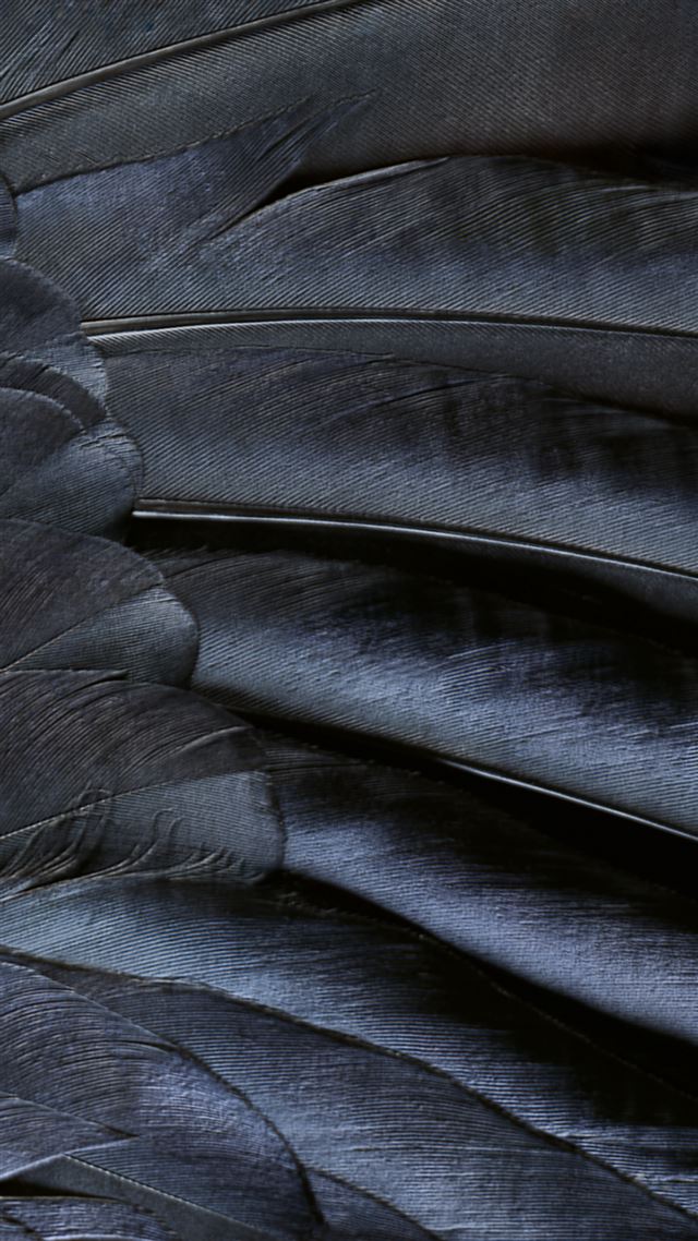 640x1136 iOS9 Wallpaper Feather Detailed Texture Pattern Art - feather iPhone Wallpaper