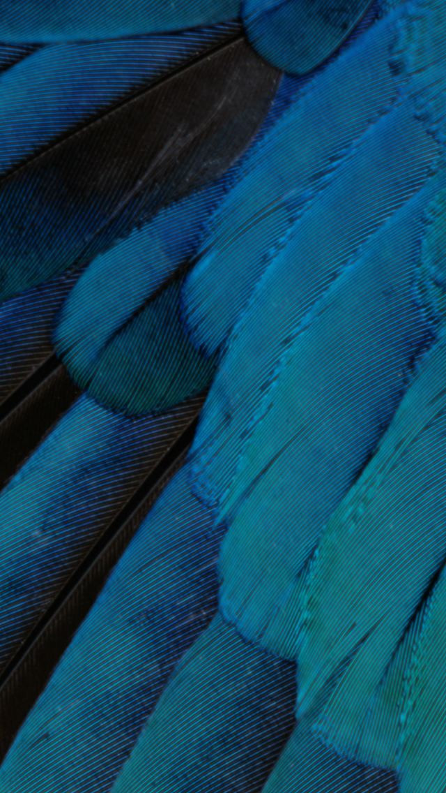 640x1136 IOS9 Wallpaper Fantasy Feather Pattern Art - fantasy iPhone Wallpaper