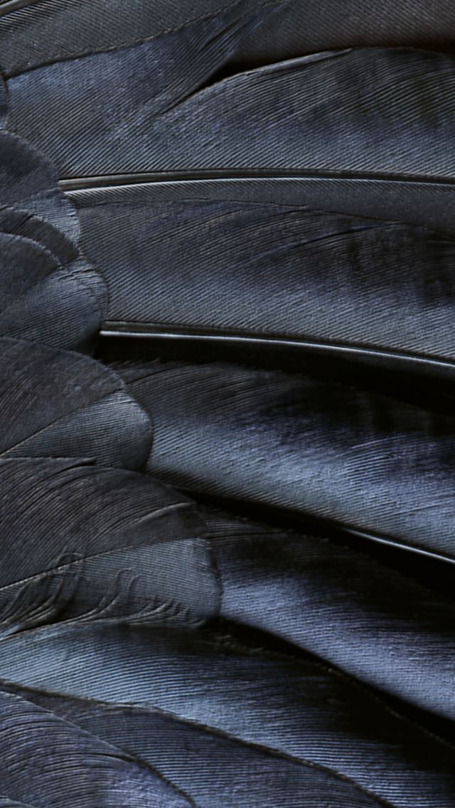 640x1136 Abstract Creative IOS9 Feather Texture Dark Art - ios9 wallpaper iPhone Wallpaper