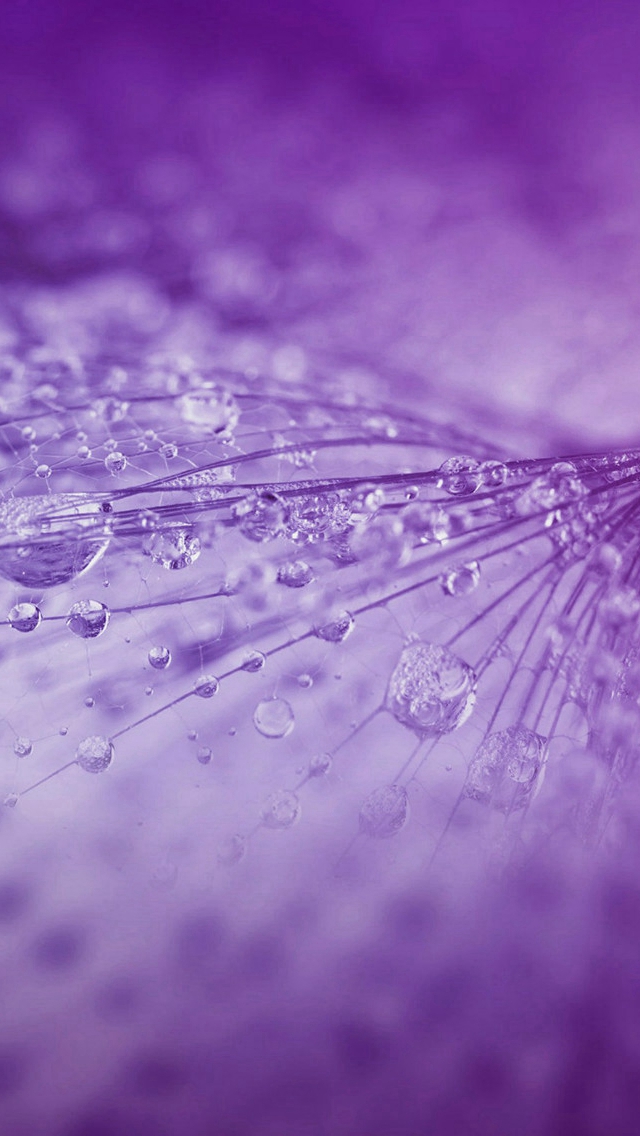 Nature Rrain Drop Flower Purple Pattern iPhone wallpaper 