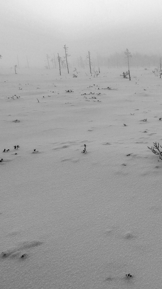 640x1136 Snow Walk Winter White Footprints Nature - wild iPhone Wallpaper