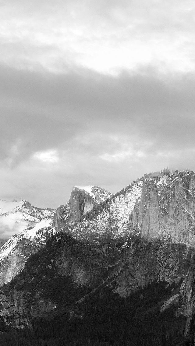 640x1136 Dark Grayscale Mountains Forest Landscape - forest iPhone Wallpaper