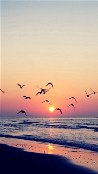 Twilight Coast Beach Ocean Wave Seagull Sunset wallpaper