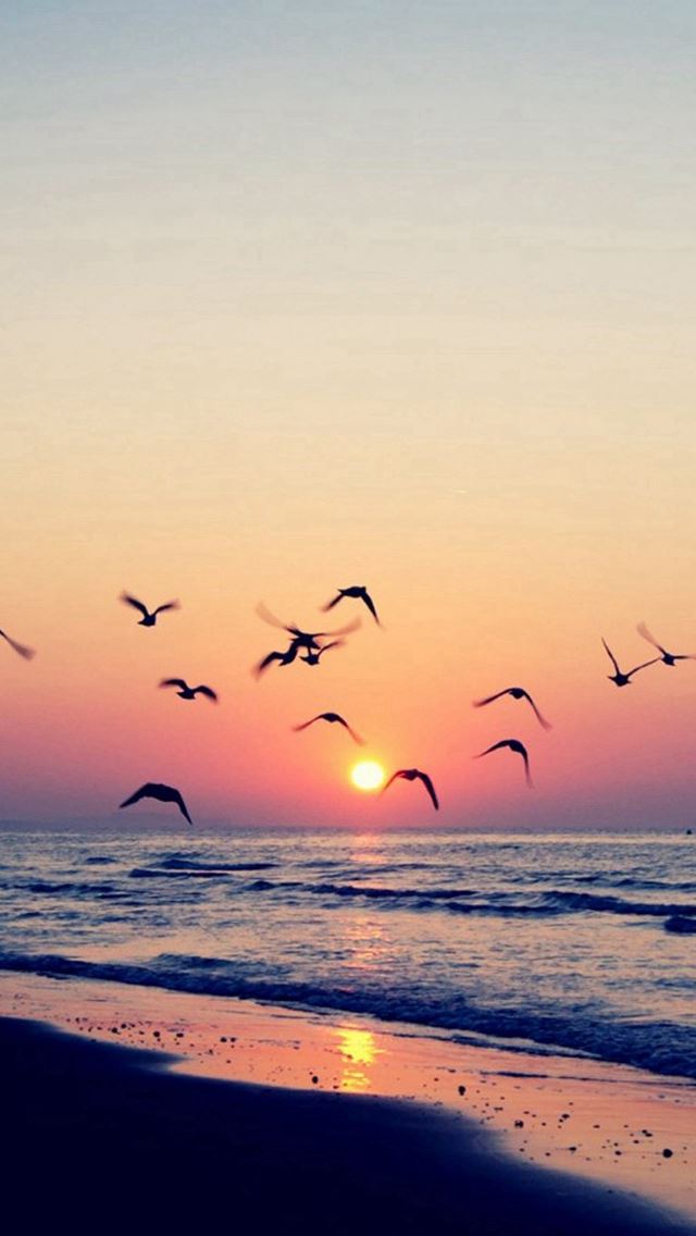 640x1136 Twilight Coast Beach Ocean Wave Seagull Sunset - sandy iPhone Wallpaper