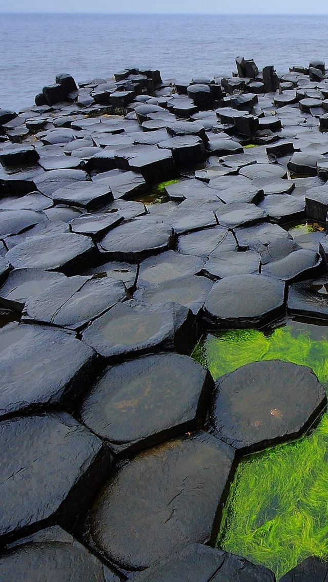 640x1136 Flood Protection Dikes - green iPhone Wallpaper
