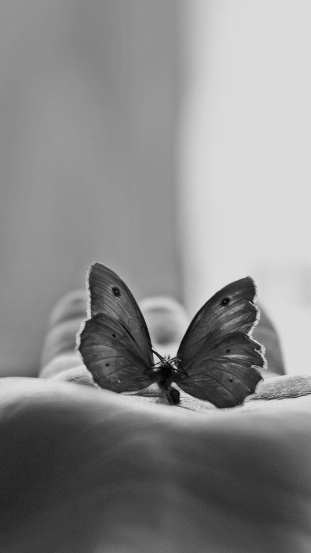 640x1136 Butterfly Hand Black White Art - hand iPhone Wallpaper