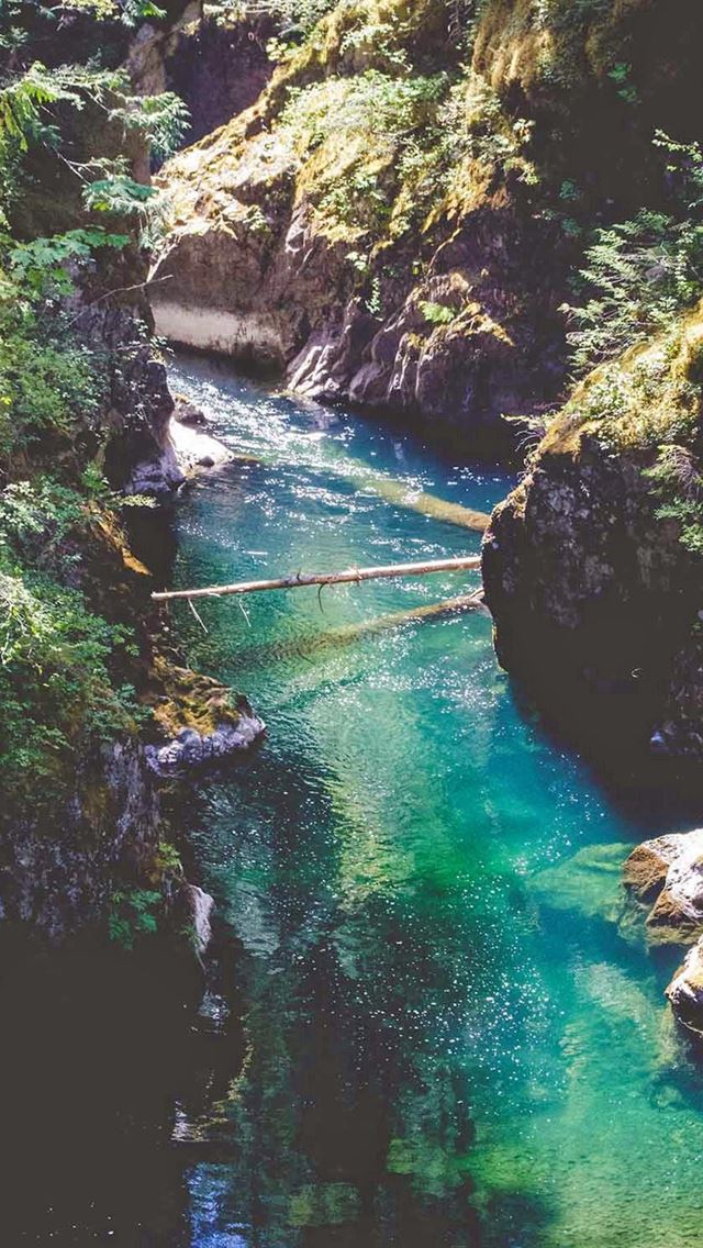 640x1136 Green Forest Cliffs River - forest iPhone Wallpaper