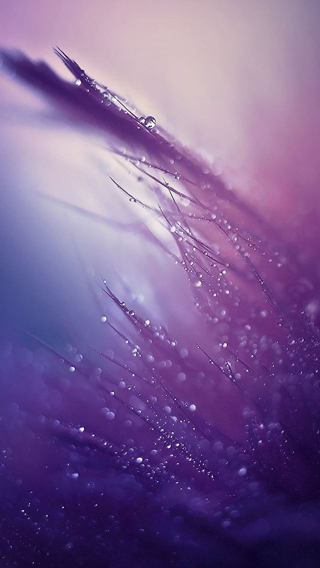 640x1136 Nature Rain Drop Leaf Pruple Soft Pattern - leaf iPhone Wallpaper