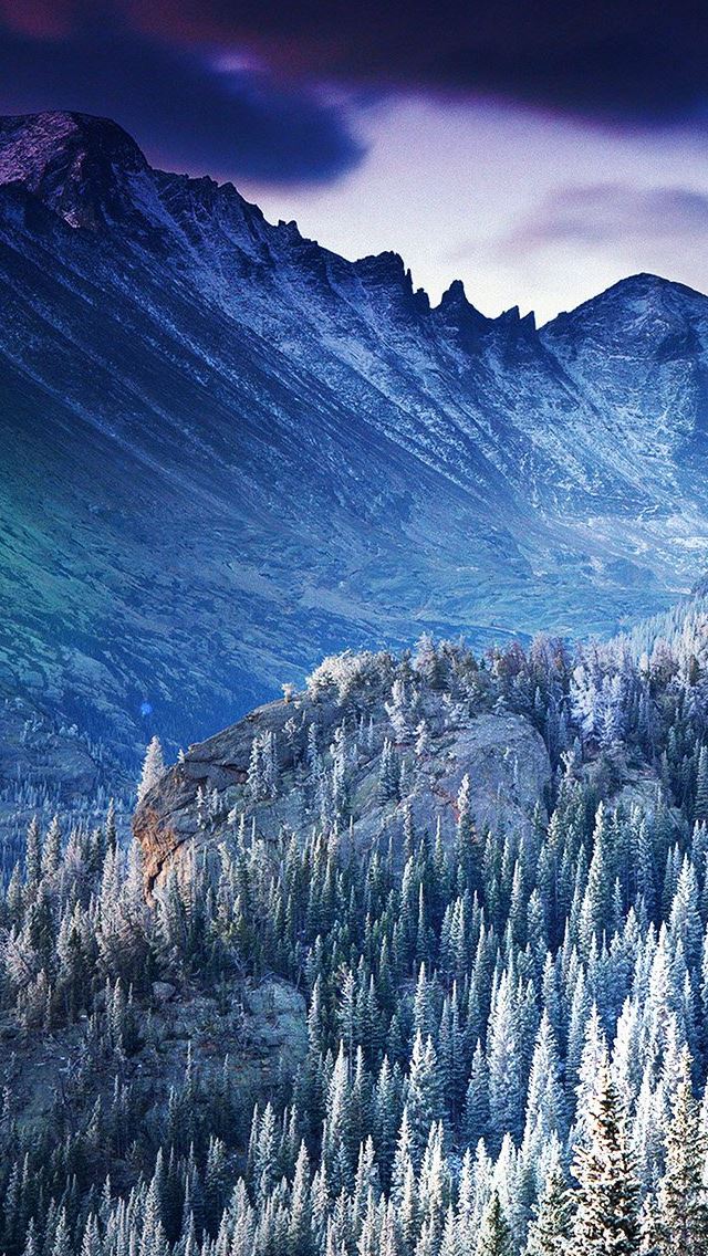 640x1136 Winter Mountain Blue Woods Tree Nature Cold - woods iPhone Wallpaper