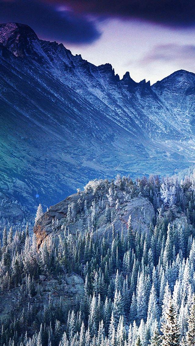 640x1136 Winter Mountain Blue Woods Tree Nature Cold - hill iPhone Wallpaper