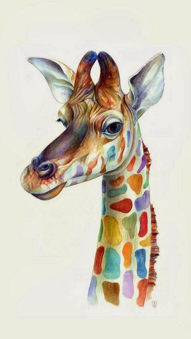640x1136 Friendly Giraffe Colorful Painting Art - giraffe iPhone Wallpaper
