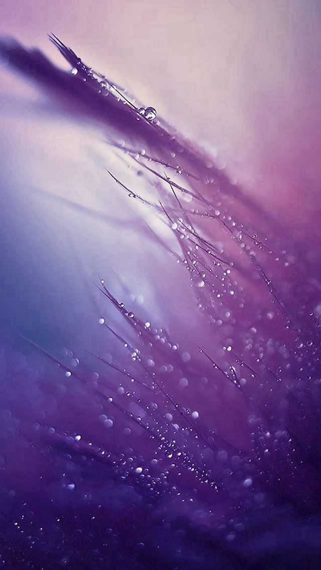 640x1136 Nature Rain Drop Leaf Pruple Soft Pattern - rain drop iPhone Wallpaper
