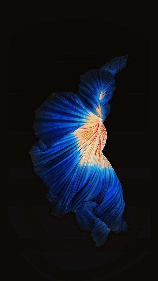 1284x2778 Apple Live Photo Ios9 Dark - fish iPhone Wallpaper