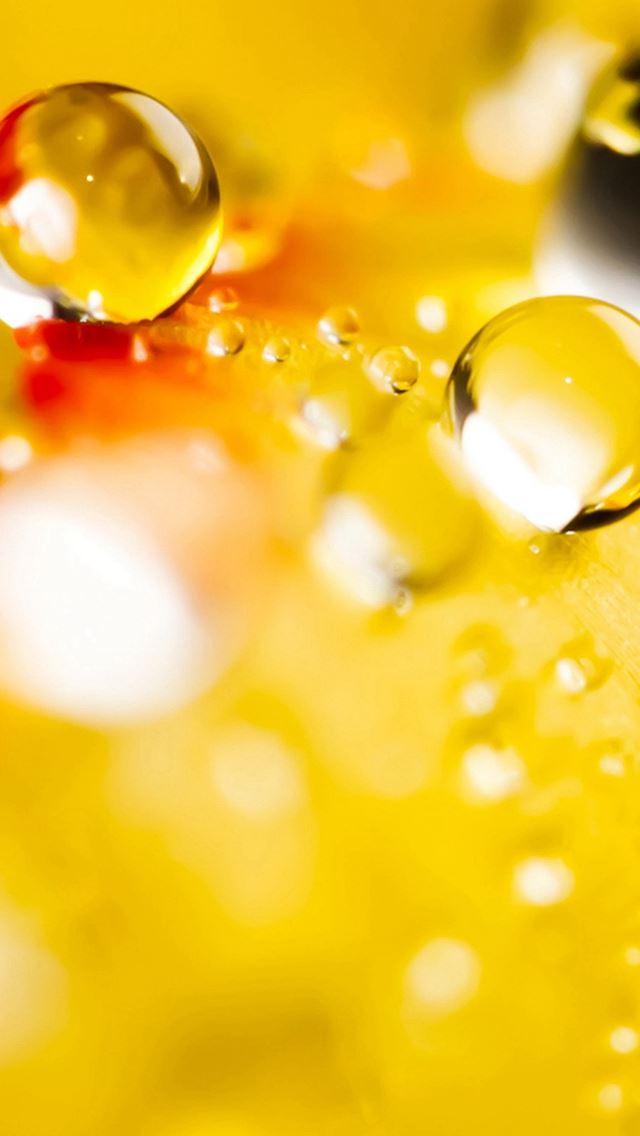 640x1136 Macro Wonderful Drop - water drop iPhone Wallpaper