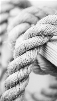 White Marine Knot Rop wallpaper