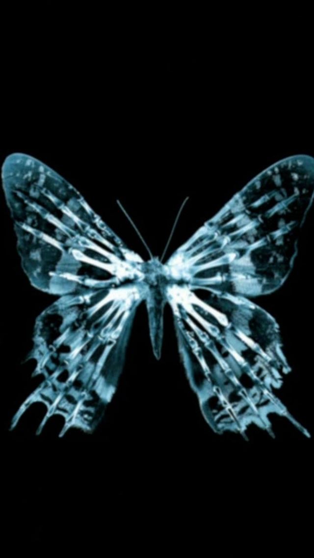 640x1136 Dark Shiny Light Transparent Butterfly Art - shiny iPhone Wallpaper