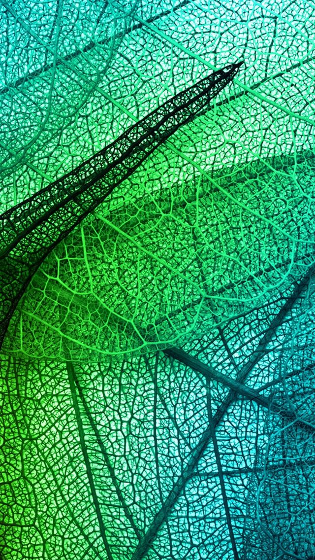 640x1136 Leaves Art Green Blue Pattern - pure iPhone Wallpaper