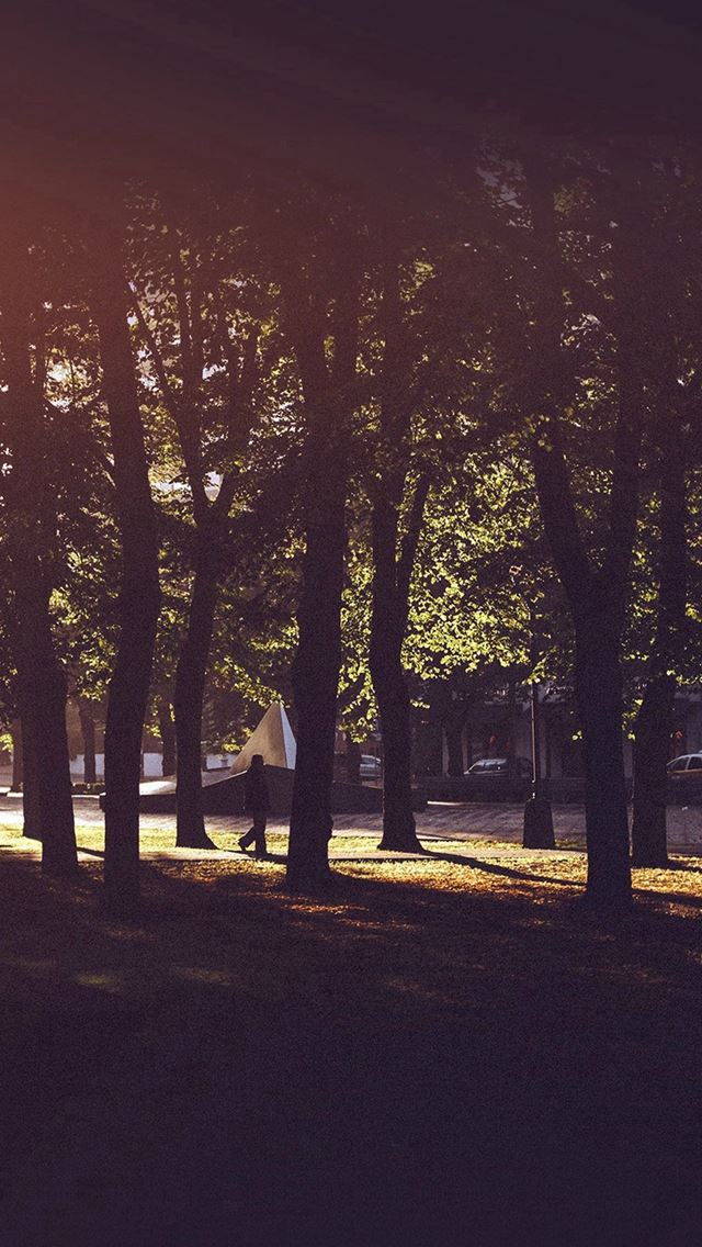 640x1136 Backyard Wood Flare Nature In City - sunshine iPhone Wallpaper
