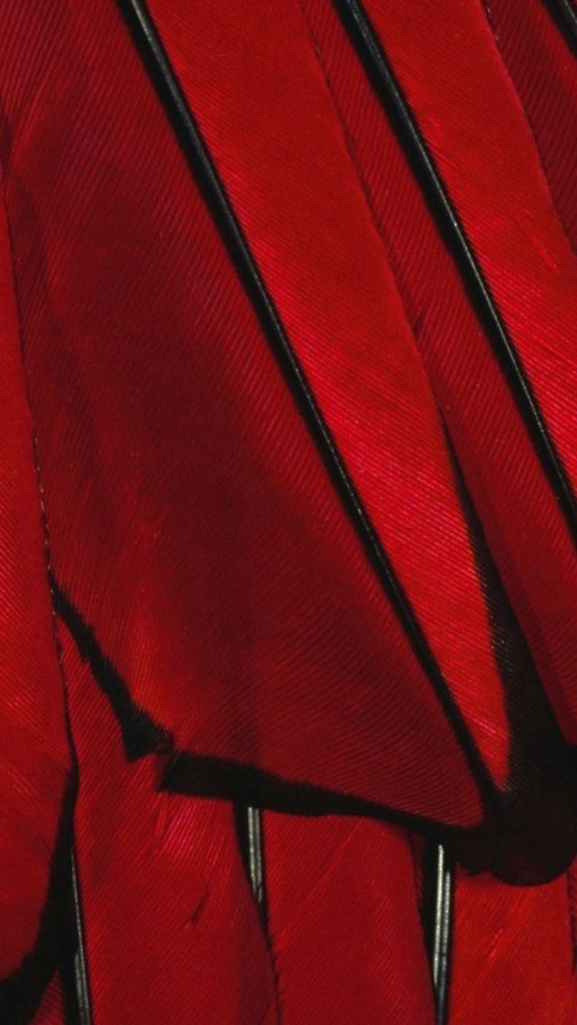 640x1136 Black Red Paint Color Feather - color iPhone Wallpaper