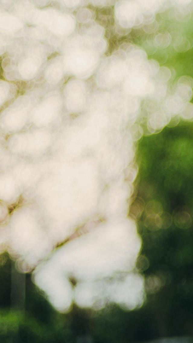640x1136 Car Blur Bokeh Light Art Nature - bokeh iPhone Wallpaper