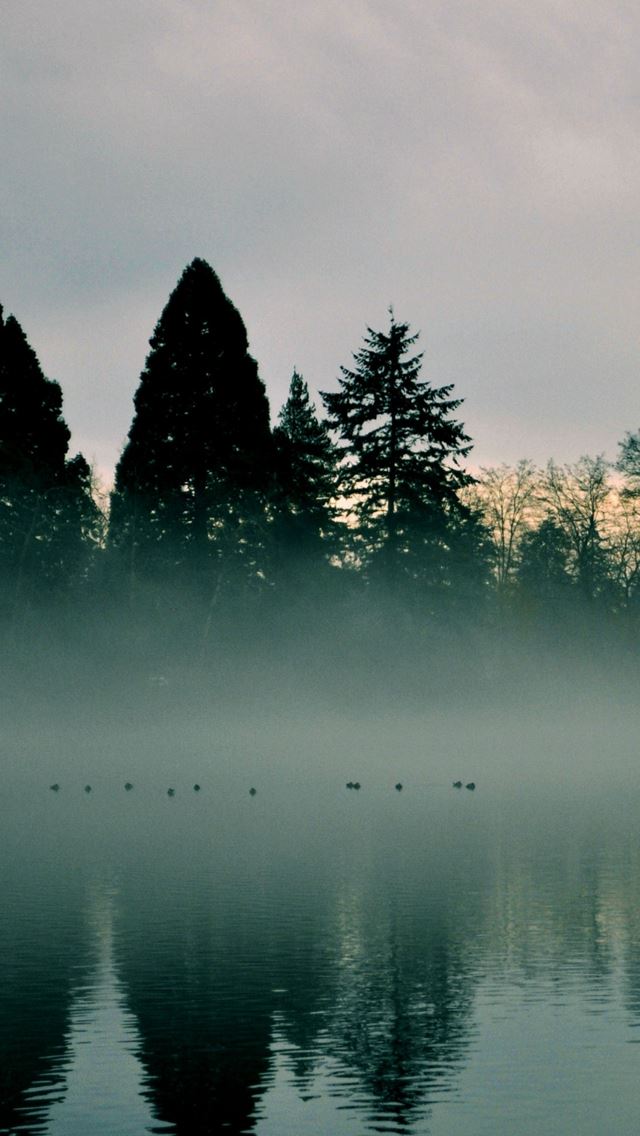640x1136 River Trees Fog Reflection - trees iPhone Wallpaper