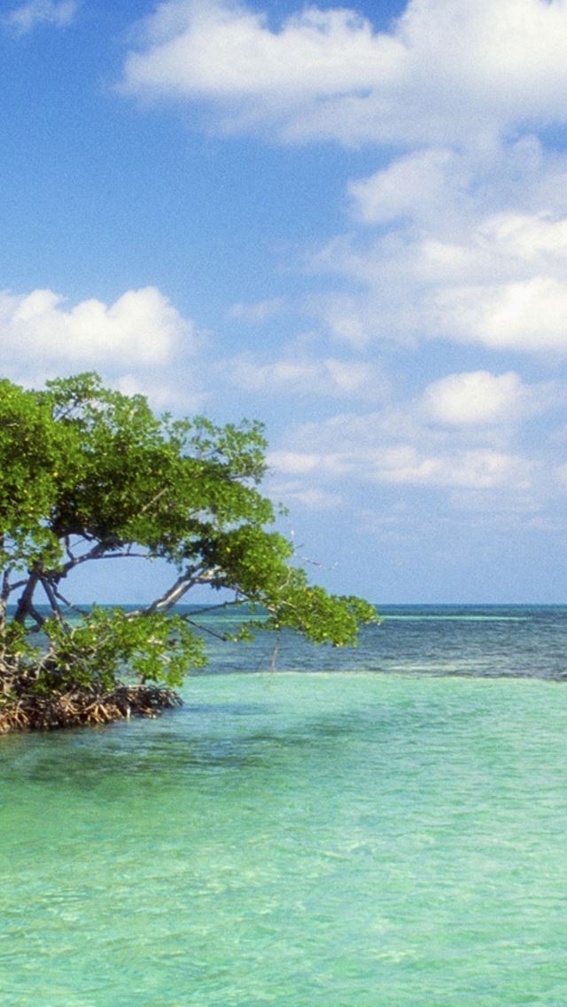 640x1136 Trees Island Sailing Vessel Bank Azure Horizon - vessel iPhone Wallpaper