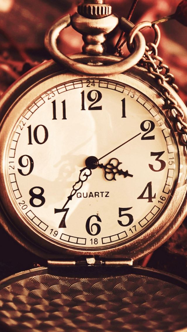 640x1136 Vintage Watch Pocket Macro Autumn Berries Dry Chain Dial - retro iPhone Wallpaper
