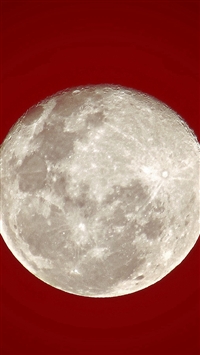 Red Moon Simple Night Natue wallpaper