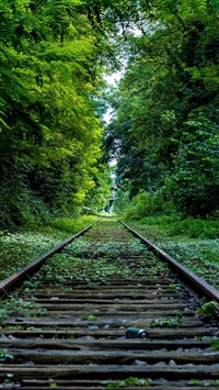 Wooden Retro Railroad Grass Trees wallpaper