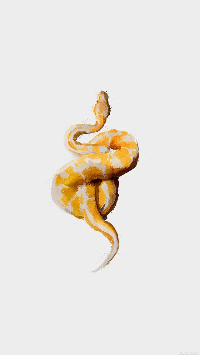 640x1136 Snake Iillust Minimal Art - illust iPhone Wallpaper
