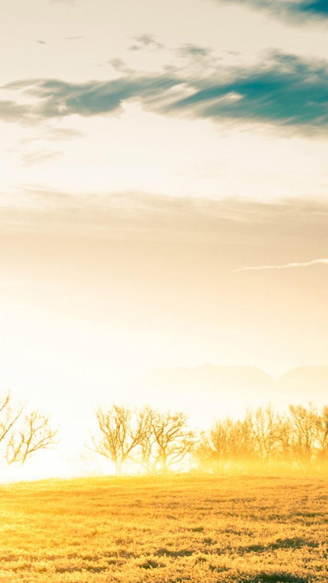 640x1136 Vast Bright Golden Wither Grass Field - branch iPhone Wallpaper