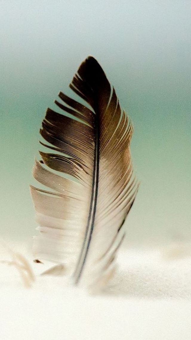 640x1136 Feather In Sand - sand iPhone Wallpaper