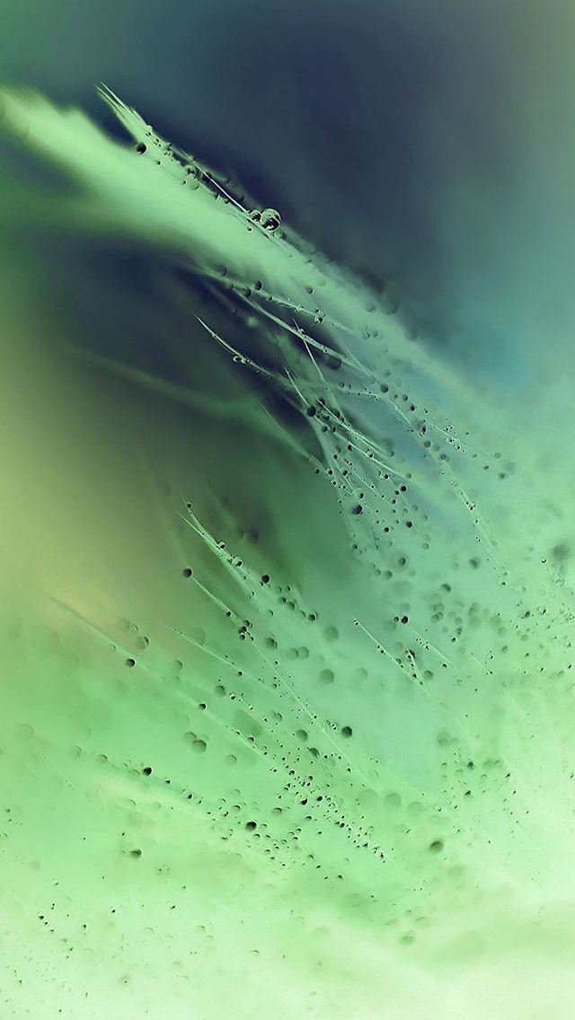 640x1136 Nature Rain Drop Leaf Green Soft Pattern - bokeh iPhone Wallpaper