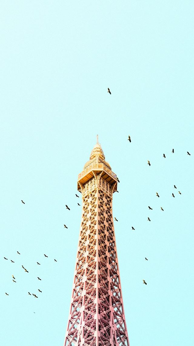 640x1136 Paris Eiffel Tower Birds Colorful - paris iPhone Wallpaper