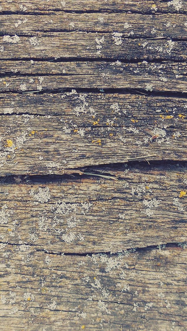 640x1136 Wood Art Nature Pattern - retro iPhone Wallpaper