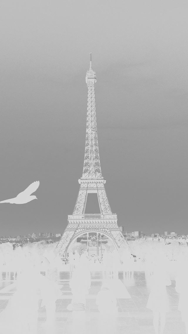 640x1136 Paris Eiffel Tower Tour Dark Bird France White - tour iPhone Wallpaper