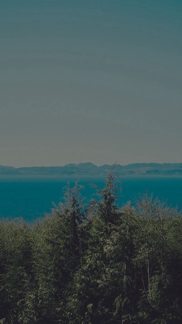 640x1136 Wood Lake Blue Nature Water Dark Mountain - woods iPhone Wallpaper