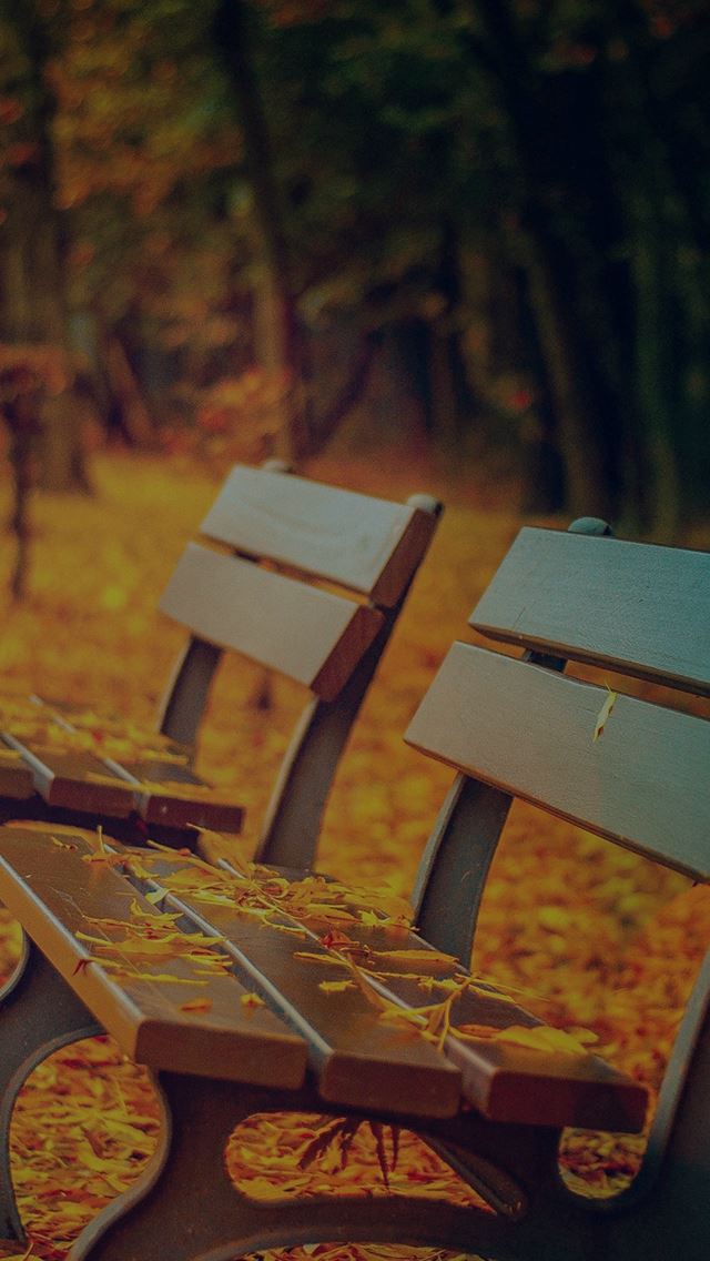 640x1136 Fall Road Mountain Autumn Leave Nature Dark - autumn iPhone Wallpaper