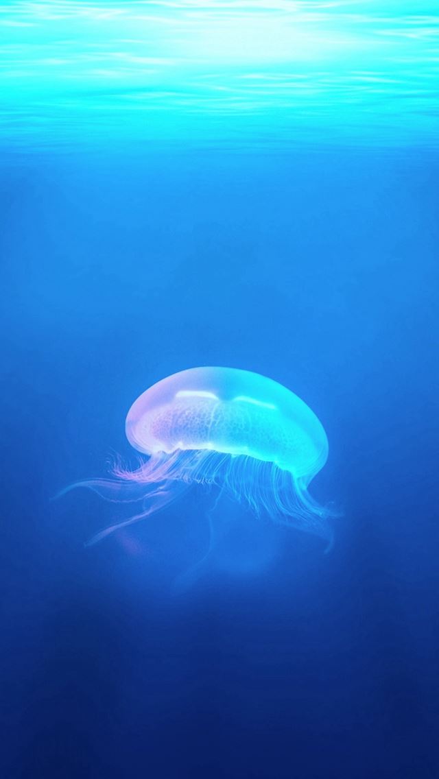 640x1136 Ocean Jellyfish Surreal Light - deep iPhone Wallpaper