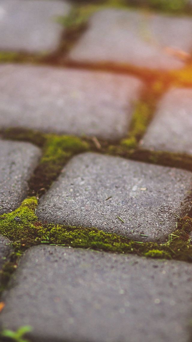 640x1136 Garden Moss Stone Nature Road City Flare - stone iPhone Wallpaper
