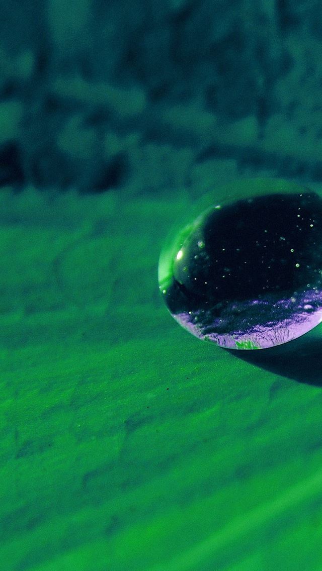 640x1136 Water Drop On Green Flower Nature - shiny iPhone Wallpaper