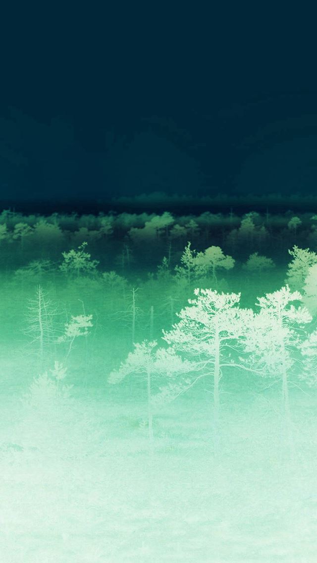 640x1136 Sunset Wood Nature Ghost - woods iPhone Wallpaper
