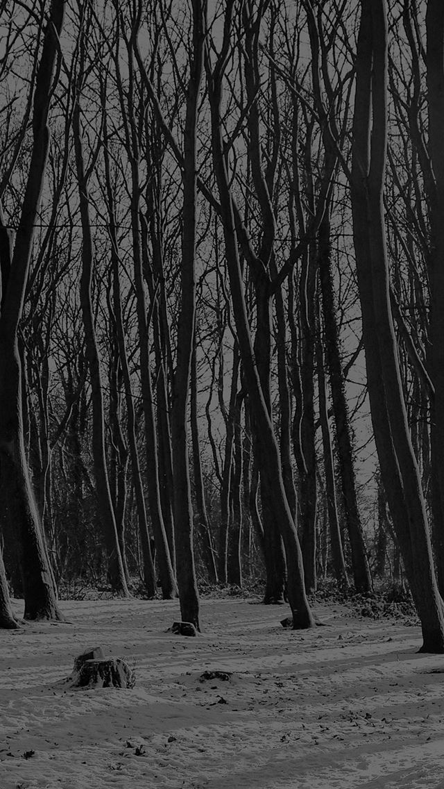640x1136 Cold Winter Forest Snow Nature Mountain Dark - woods iPhone Wallpaper