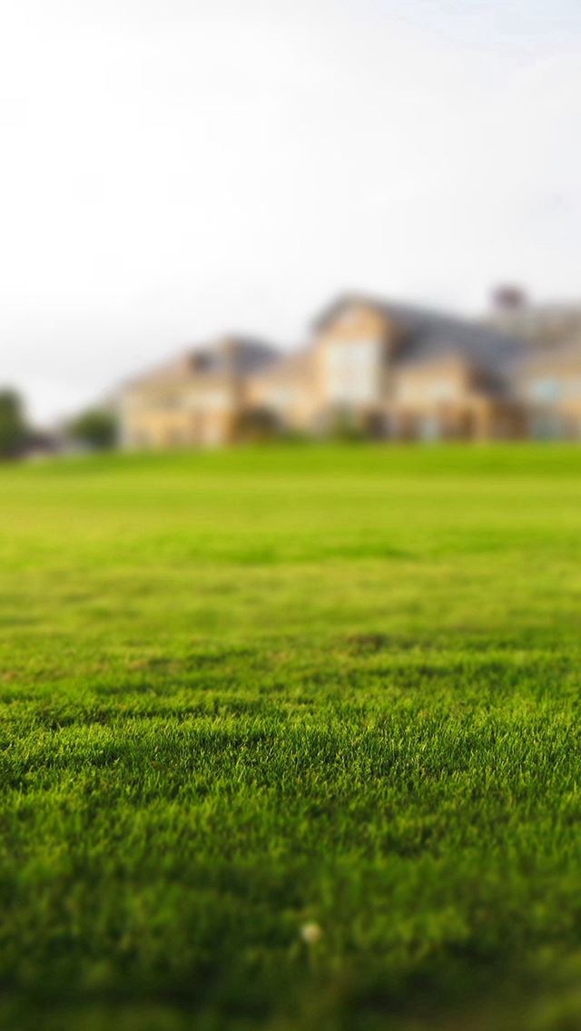 640x1136 Garden Nature Green Lawn - pure iPhone Wallpaper
